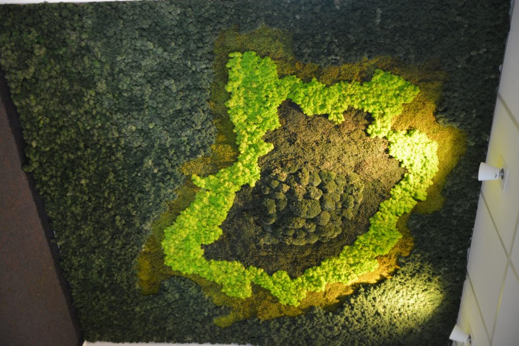 Perete verde mixt din licheni decorativi si muschi stabilizati | multicolor
