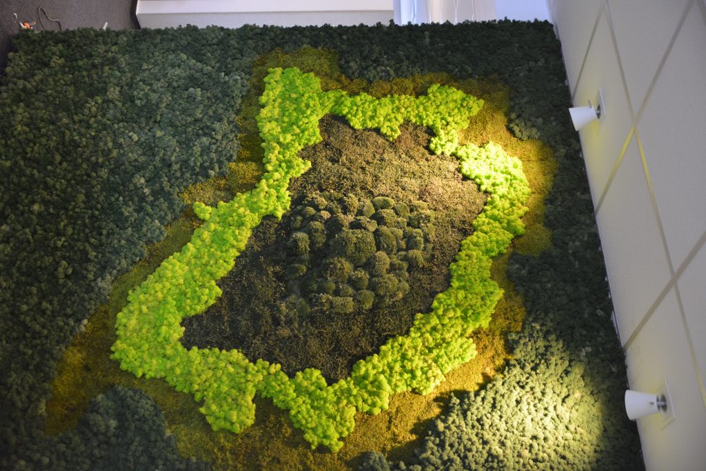 Perete verde mixt din licheni decorativi si muschi stabilizati | multicolor