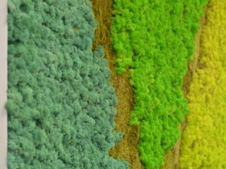 Perete din licheni decorativi si muschi stabilizati| multicolor