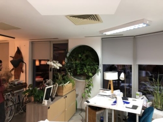 Gradina verticala din licheni decorativi muschi stabilizati si plante