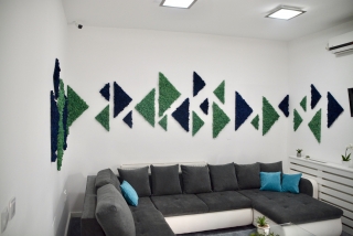 triunghiuri din licheni decorativi stabilizati