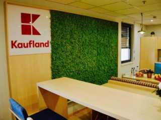 perete verde din licheni stabilizati | licheni decorativi |